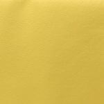 Canario Technoleather