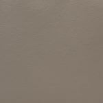 Champiñon Decoleather