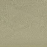 Ivory Ecoleather