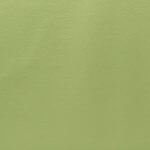 Kiwi Technoleather