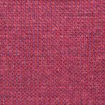 Magenta Apolo