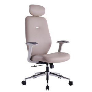 Class Respaldo alto beige - portada